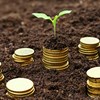 Saving Coins Growth